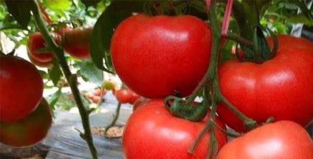 心脑血管|脑血栓的天然“清道夫”, 坚持每天吃一点, 远离血栓更健康!