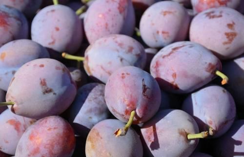 游离基|秋天了长寿老人爱吃三种食物，补充营养，延缓衰老，谁吃谁受益！