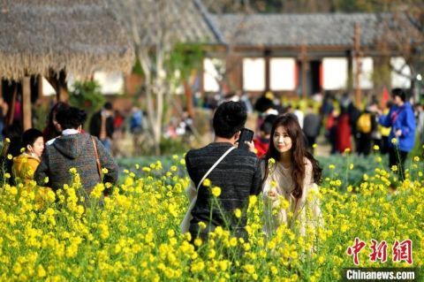 暖心|美！福州古厝油菜花竞相开放