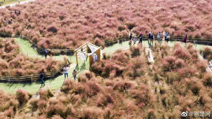 花博汇|来武汉花博汇打卡体验生态文旅小镇