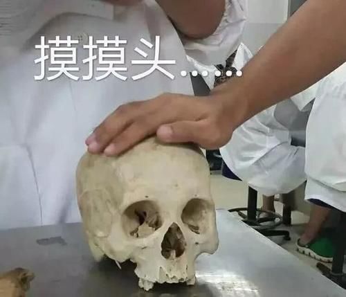 医学专业的女生胆子有多大？看完人家的上课日常，一般男生不敢惹