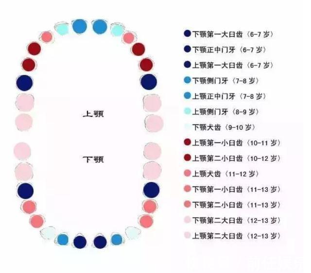 孩子|孩子换牙时第一颗六龄牙很关键，你不能不收藏的宝宝换牙期宝典