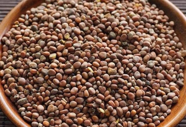 跟萝卜是一家,中药叫莱菔子,可消食化痰,治疗多种胃肠不适