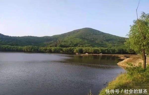 钓位|本味三兄弟,助我擒板鲫!