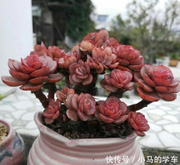 容易爆仔的秀妍，要知道，秀妍可不是爆仔那么简单，出状态更美！