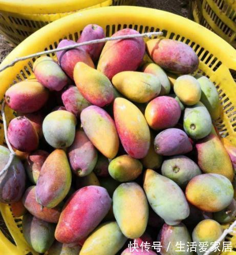 去秋燥|秋分后,有钱没钱,记得多给家人吃这3种碱性食物,帮助去秋燥!