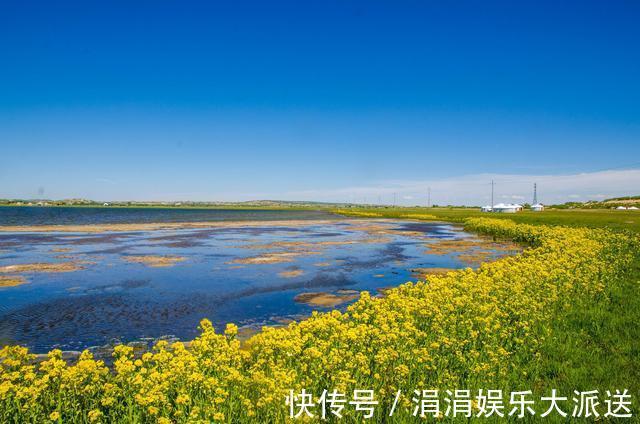 去草原不要只知道呼伦贝尔，同在内蒙古，这里有世界前四的草原