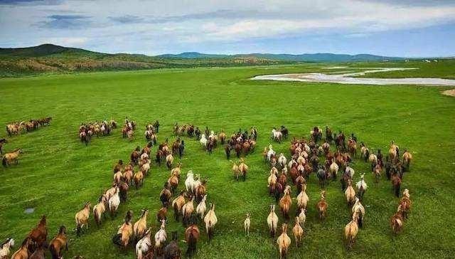 中国历史|外蒙古眼里的中国:爱之深,恨之切,难解难分的血与泪