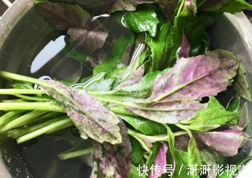 血皮菜|它被称穷人的“补血菜”,18元一斤,气血足了,早食早受益