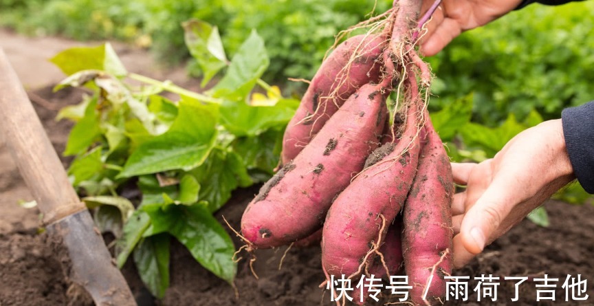 温开水|寒露前后,吃“3宝”喝“3水”,滋补身体好处多,冬天不怕冷!