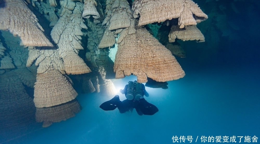 这个水塘别有洞天：看似普通，其实里面暗藏已百万年“地狱之钟”