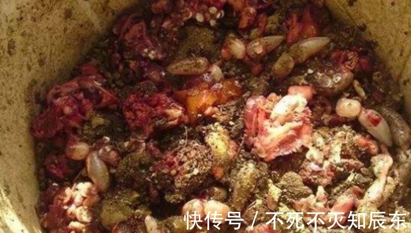 学会制作这3样养花肥,掌握正确用法,不花钱就能用上好肥料