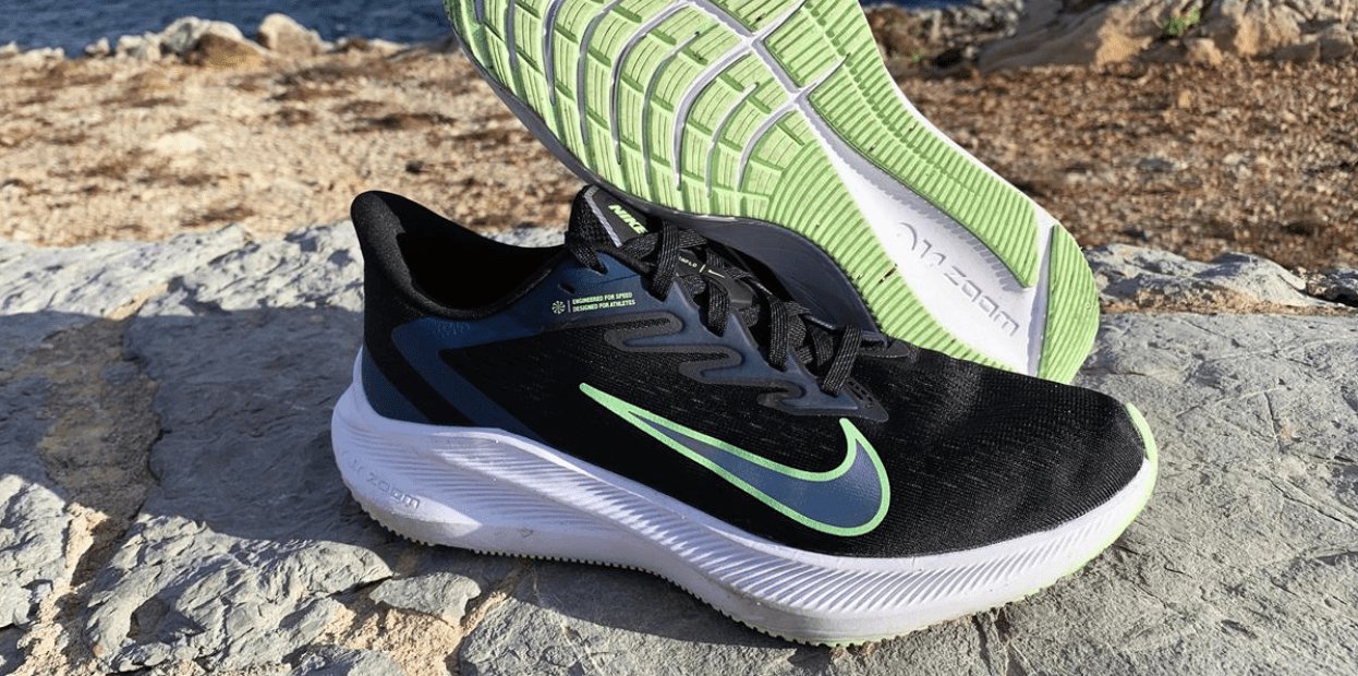 winflo 8 vs pegasus 38