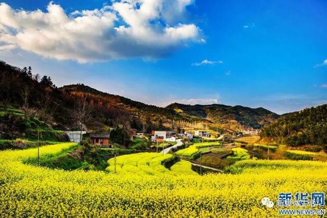 新县：春花竞放大别山