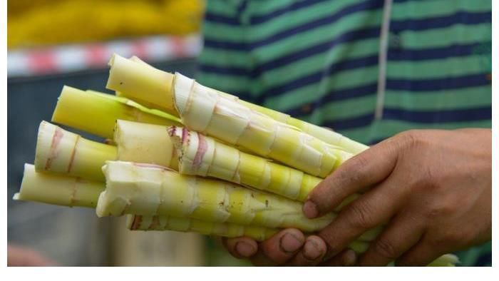 骨质疏松|吃一次等于10杯牛奶,“养骨高手”发现了,你若爱吃,骨骼日渐强壮