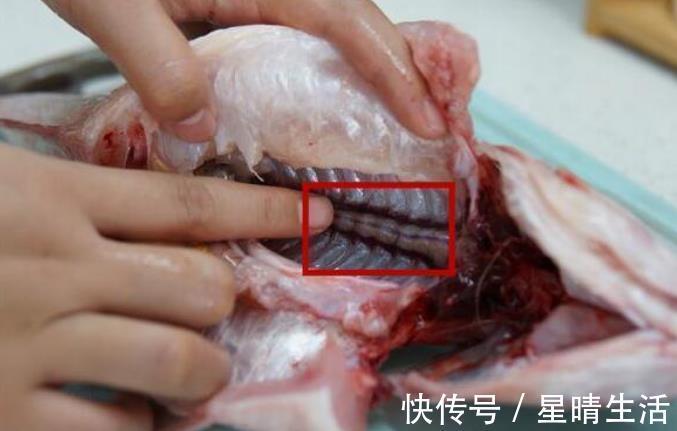 涂抹|给鱼去腥，不要用料酒，教您一个好方法，炖鱼无腥味，鲜香十足