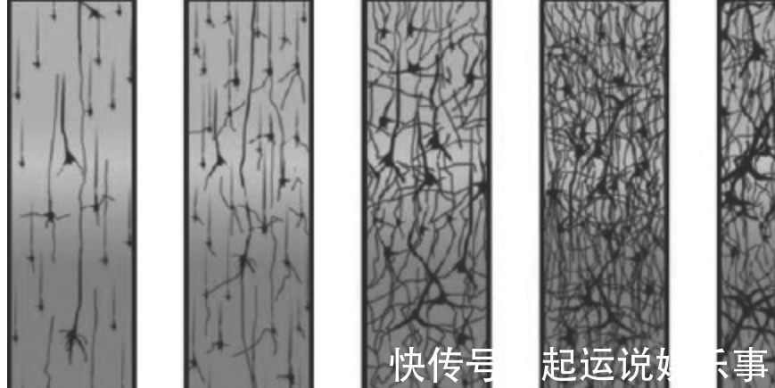身体素质|妈妈的血型会影响娃的智商吗?斯坦福大学研究:这个血型占优势