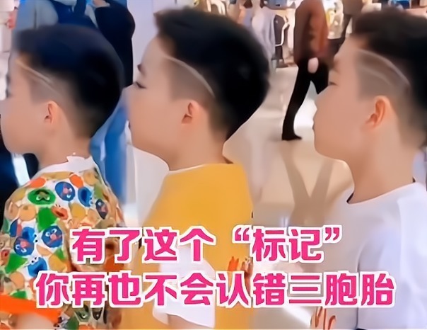 奇葩|父母为了区分多胞胎,给孩子搞“发型设计”,结果一个比一个奇葩