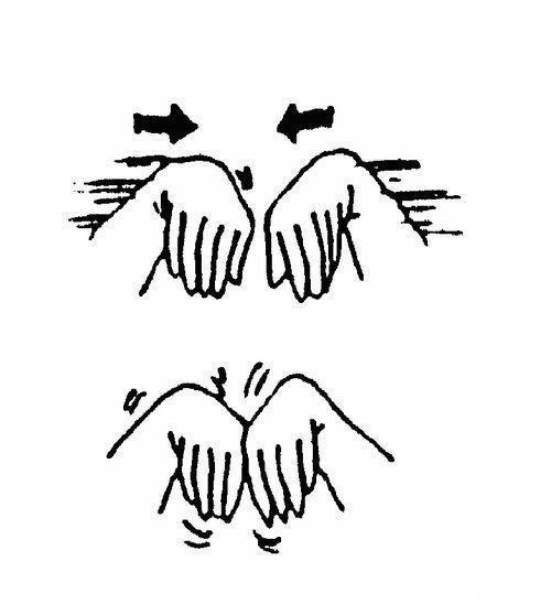 脏腑|双手抓住它,好处太多了!