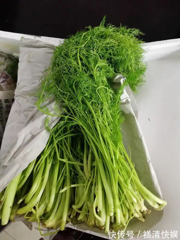 湿气最怕这个菜，每天炒一盘，湿气消失了，软化血管，体重变2位