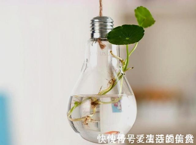 懂得!南山老人提醒我:做人再有本事,也要对这四件事守口如瓶,有道理