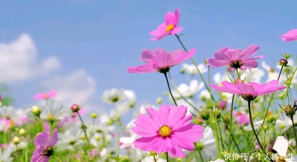 阿姨|62岁阿姨坦言:晚年健康长寿的法宝,并非其他,而是独处