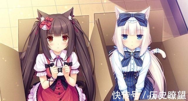 兽耳娘|想让猫咪变成人变是不可能的，但画师可以将其画出来！