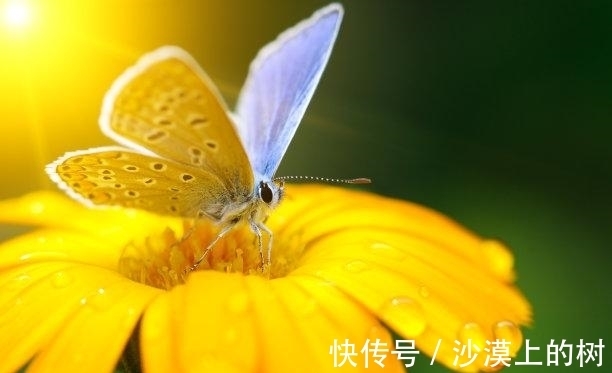 难舍|三周以后,街角偶遇,表明爱意,旧情难舍,姻缘再续,白首不离