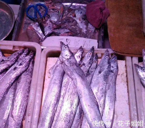 海鲜市场上比较便宜的8种海鱼,目前还无法养殖!看见了千万别错过