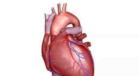 研究发现|肝不好、心脏也不好,拍打此处,一箭双雕!