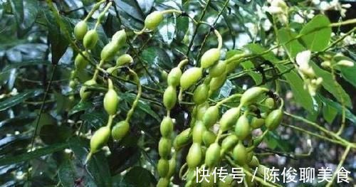 便秘|被便秘困扰的人，记住日常多吃6物，润肠去燥，排便变轻松