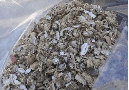 4种垃圾不会分类别担心,埋在花盆底,叶子绿得直滴油!