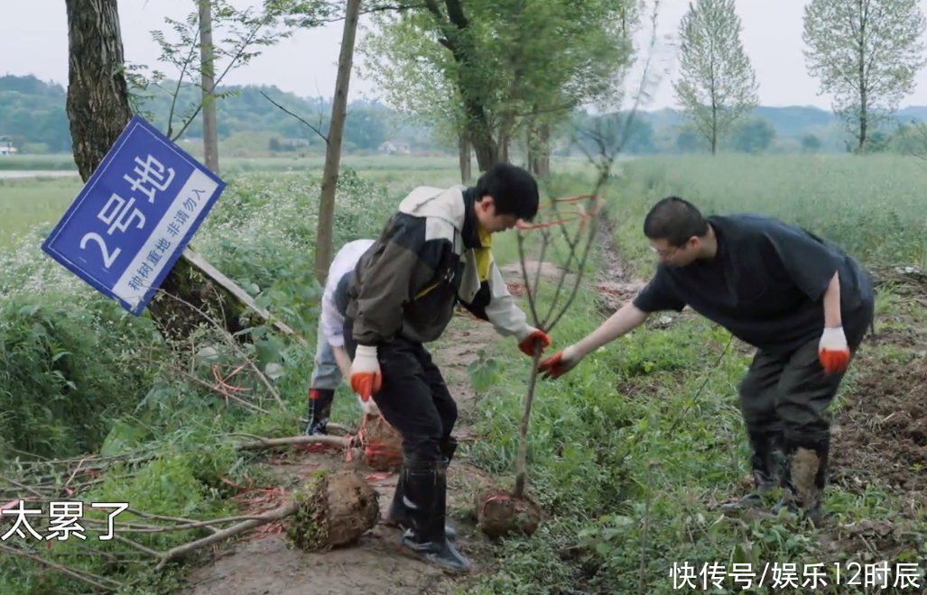 那英|《向往》下期迎来“最勤奋”嘉宾，一来就干活，黄老师可以休息啦