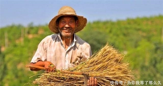 中国|经济学家王福重：农民的辛苦，其实是真正的懒惰