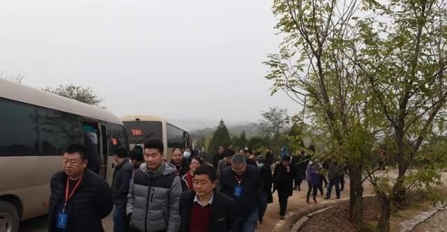 移民|丹淅流域早期文明学术调研组深入淅川考察调研