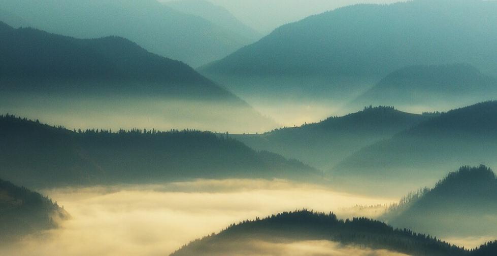 三生&轻吟梨花吟,对月吟诗,吟咏不尽三生的悲欢