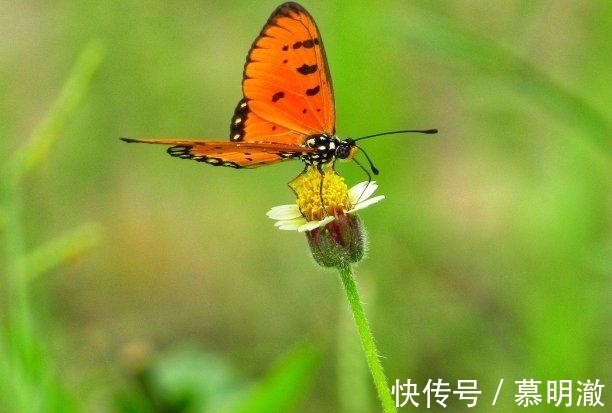 幸福天|12月，再次相遇，幸福天降，邂逅挚爱，重归于好，携手相伴余生