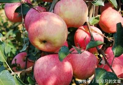 揭秘|揭秘微信卖水果赚钱项目,宝妈学生党可兼职操作的副业