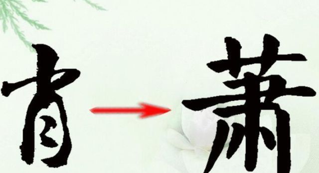 本草纲目#有一个大姓氏,人口高达740万,却未被百家姓收录,你身边就有