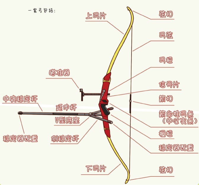 复合弓|快来!和冠军一起做运动——射箭篇