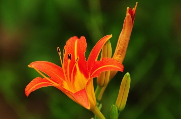 观其廉$俗话说日防夜防,小人难防,只需默念4句话,小人跪着求放过!