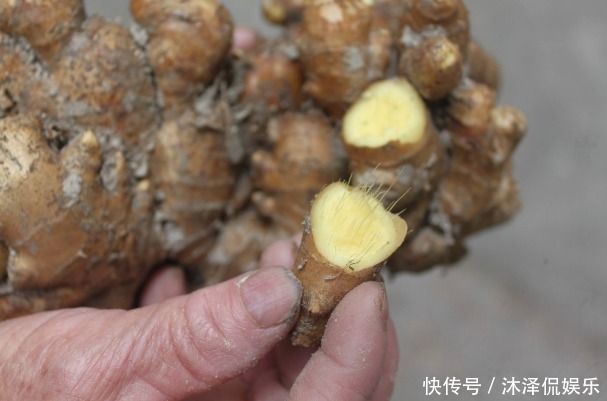 比毒品還毒的幾種菜,被醫(yī)生列入“黑名單”,你還在買嗎