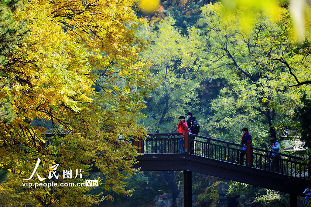  颐和园|北京：颐和园秋色美