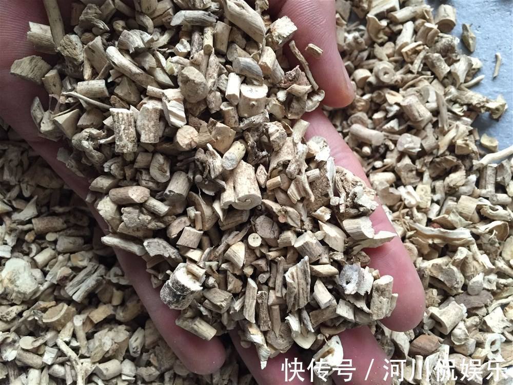 益气|黄芪和什么是“天生一对”经常喝不仅能气血双补，还能延缓衰老