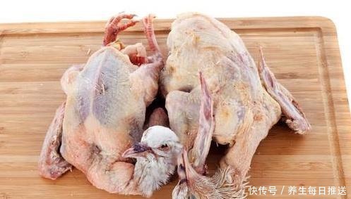 试试|一鸽胜九鸡,鸽子汤怎样做才好喝试试此做法,肉嫩汤鲜,太香了