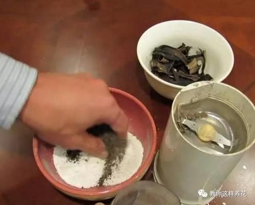 花草养不活，放点香蕉皮，打鸡血一样疯长！