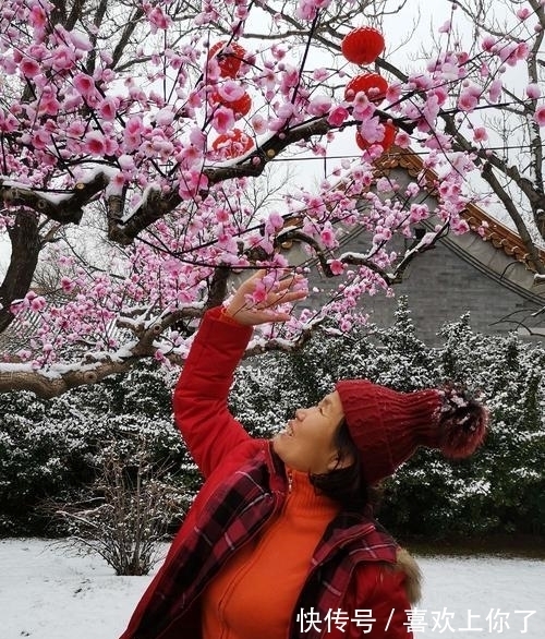 卜算子$瑞雪纷飞满树花,梅花绽蕊万点红(原创首发)