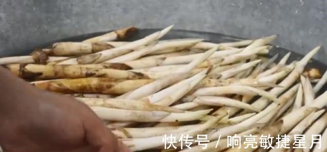 淤泥|淤泥中一种野菜,长得像藕带,离水后很快就老!