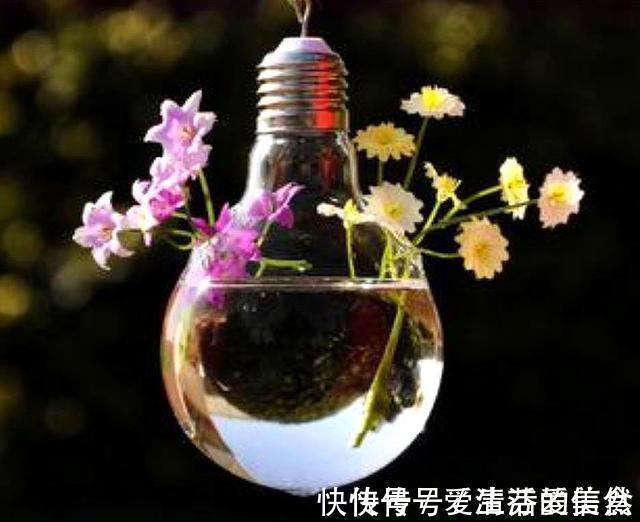 懂得!南山老人提醒我:做人再有本事,也要对这四件事守口如瓶,有道理