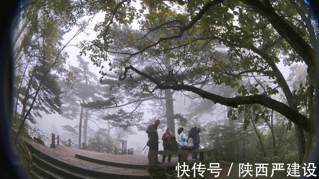 黄山|薄云浓雾游黄山宛若仙境【严建设】